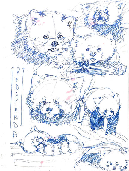 Storybook Concept 1 Storybook Concept 1